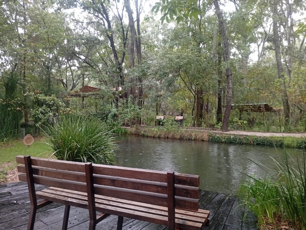 Funeraria Bosque Eterno, Bosque Funerário